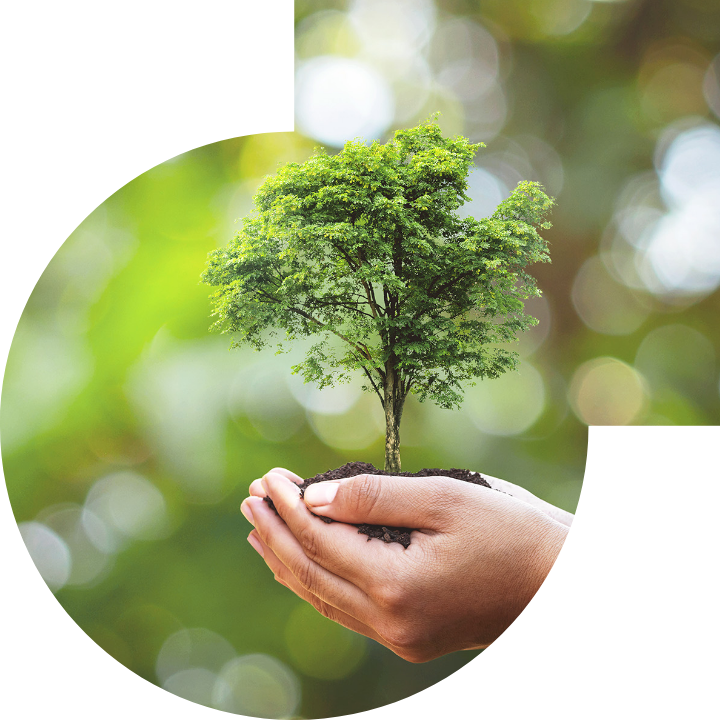 关怀人类、文化、环境与社会